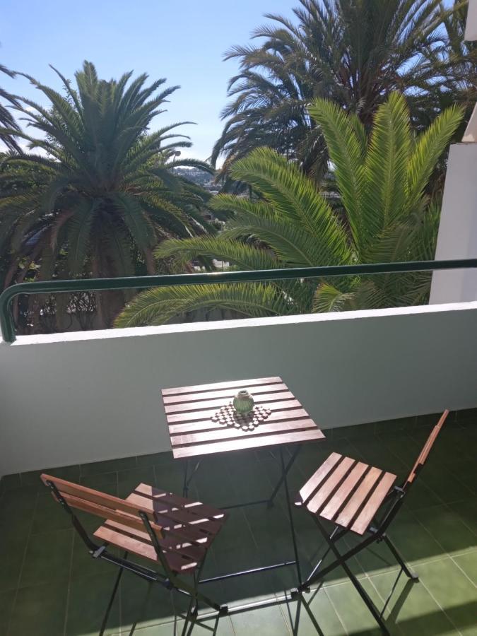 Surycan Tropical Garden Apartment 普拉亚戴尔雷安格莱斯 外观 照片