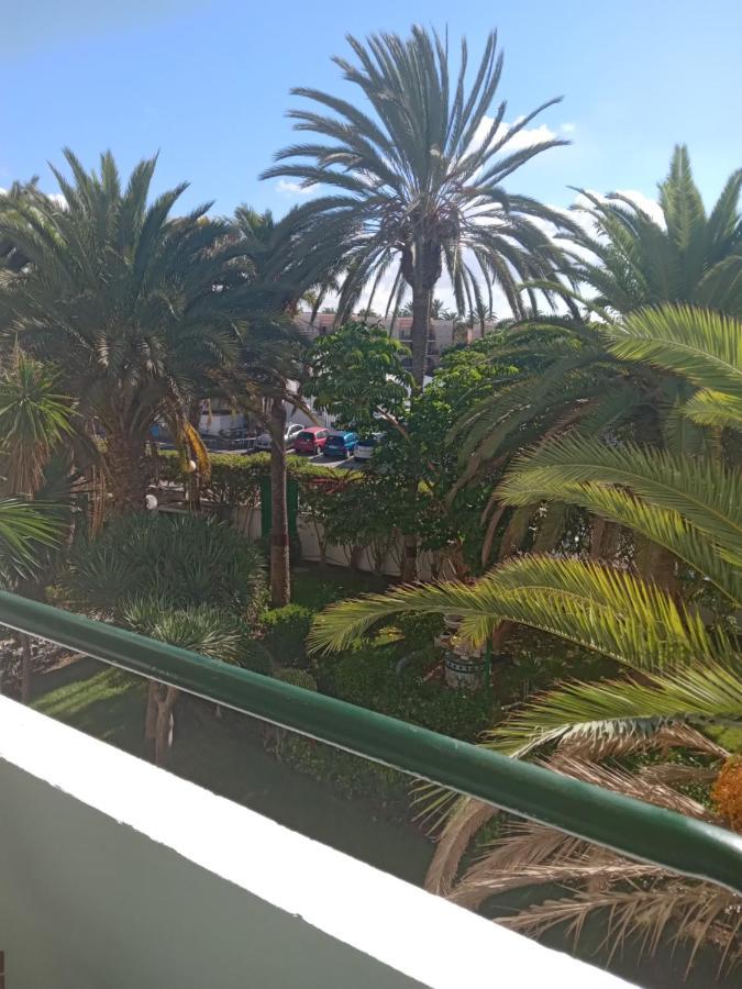 Surycan Tropical Garden Apartment 普拉亚戴尔雷安格莱斯 外观 照片