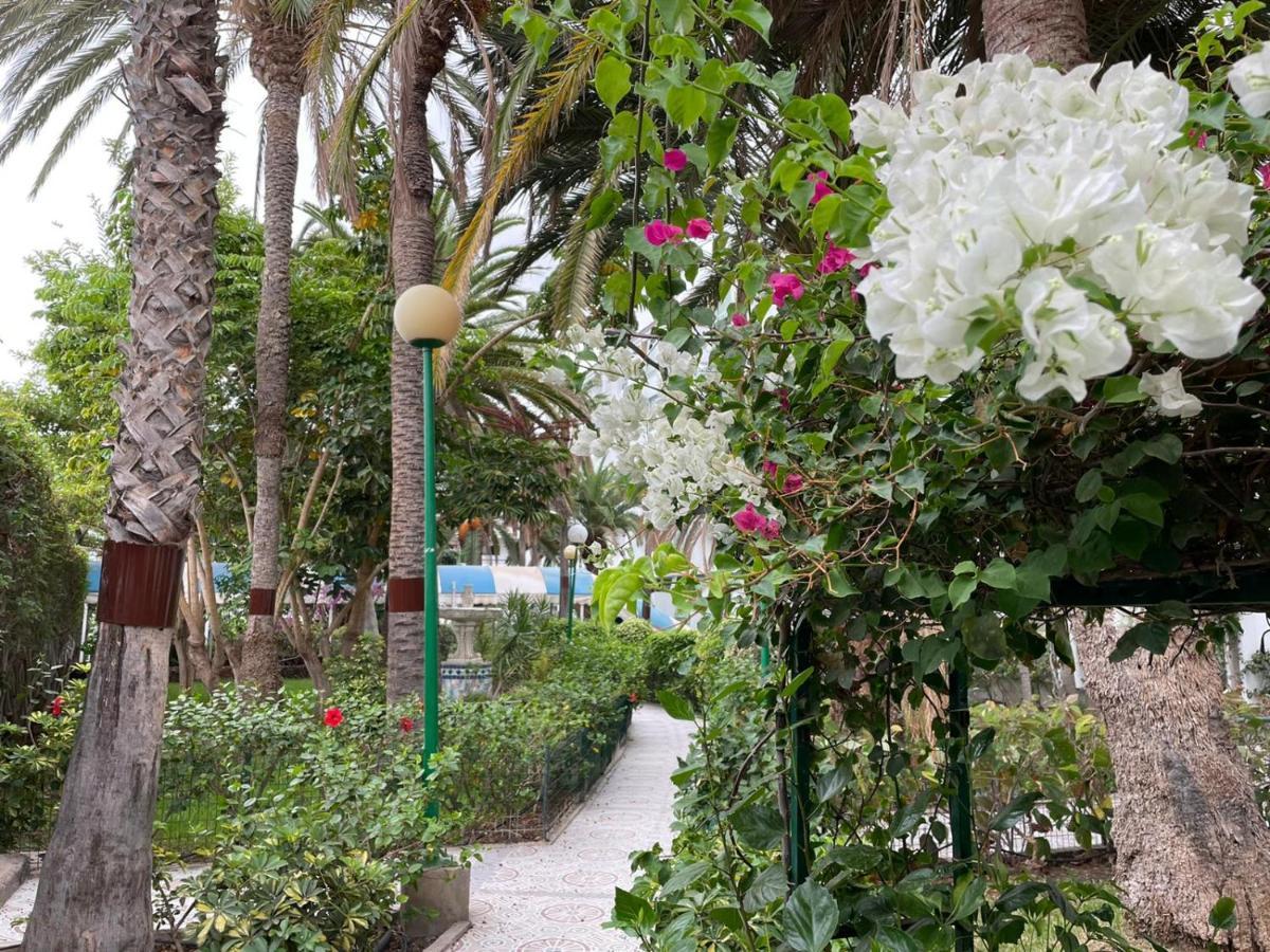 Surycan Tropical Garden Apartment 普拉亚戴尔雷安格莱斯 外观 照片