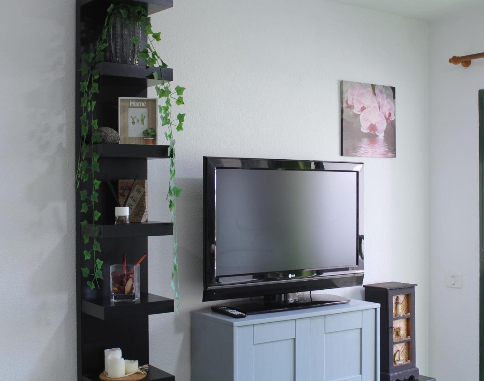 Surycan Tropical Garden Apartment 普拉亚戴尔雷安格莱斯 外观 照片