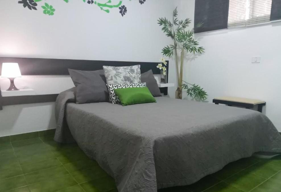 Surycan Tropical Garden Apartment 普拉亚戴尔雷安格莱斯 外观 照片